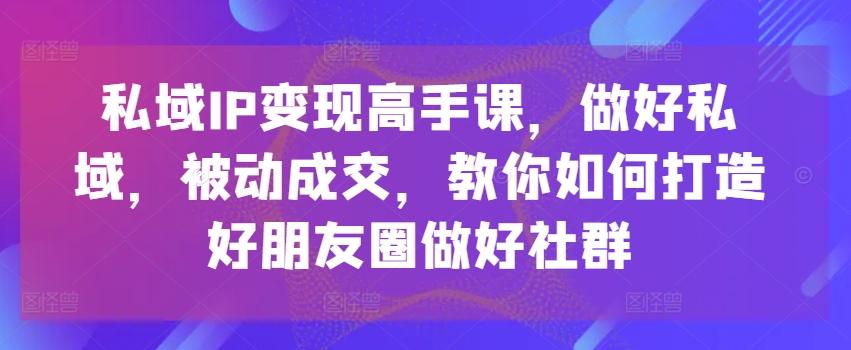 私域IP变现高手课，做好私域，被动成交，教你如何打造好朋友圈做好社群-Ai创业网