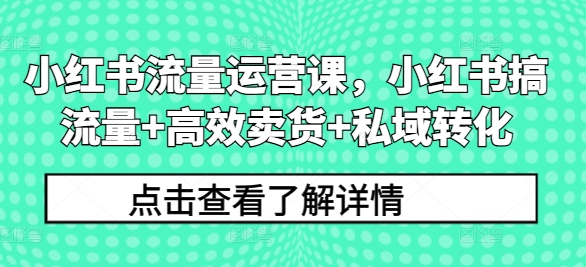 小红书流量运营课，小红书搞流量+高效卖货+私域转化-Ai创业网