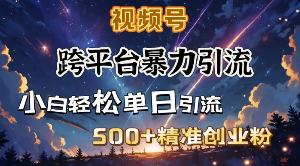跨平台暴力引流，私域完美闭环，日引500+精准创业粉-Ai创业网