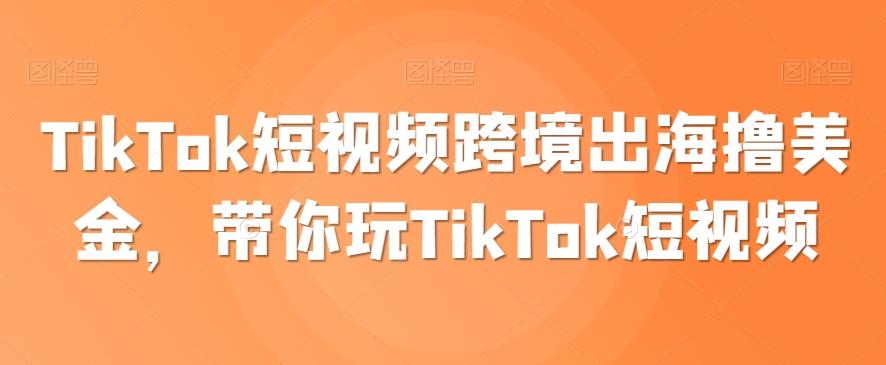 TikTok短视频跨境出海撸美金，带你玩TikTok短视频-Ai创业网