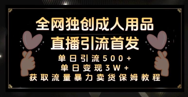 全网独创真人主播+无人直播单日引流500+，橙人用品暴力卖货单日变现3W+保姆似教学2.0【揭秘】-Ai创业网