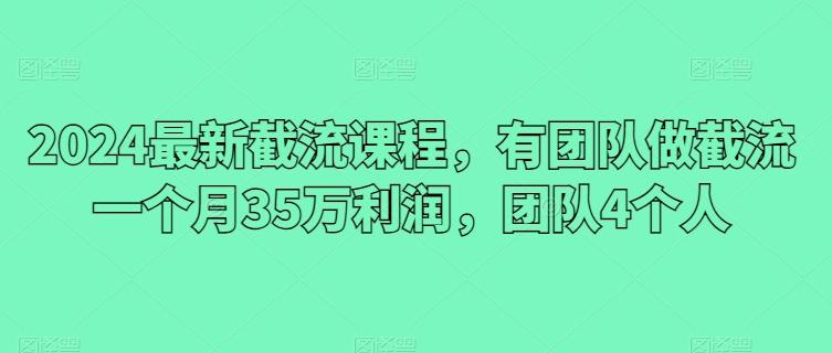 2024最新截流课程，有团队做截流一个月35万利润，团队4个人-Ai创业网