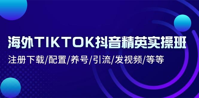 海外TIKTOK抖音精英实操班：注册下载/配置/养号/引流/发视频/等等-Ai创业网