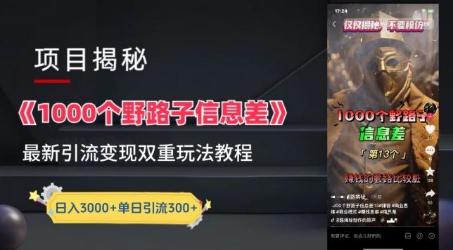 一千个野路子信息差最新玩法教程-变现+引流的玩法具体拆解【揭秘】-Ai创业网