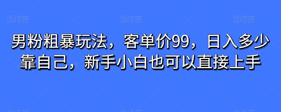 男粉粗暴玩法，客单价99，日入多少靠自己，新手小白也可以直接上手-Ai创业网