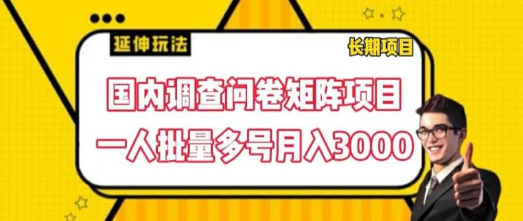 国内调查问卷矩阵项目，一人批量多号月入3000【揭秘】-Ai创业网
