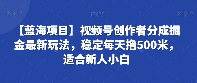 【蓝海项目】视频号创作者分成掘金最新玩法，稳定每天撸500米，适合新人小白【揭秘】-Ai创业网