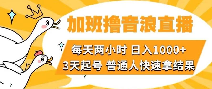 加班撸音浪直播，每天两小时，日入1000+，直播话术才3句，3天起号，普通人快速拿结果【揭秘】-Ai创业网