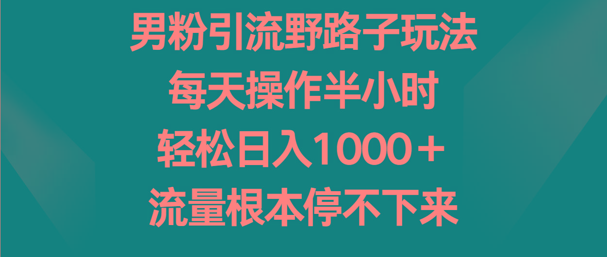 男粉引流野路子玩法，每天操作半小时轻松日入1000＋，流量根本停不下来-Ai创业网