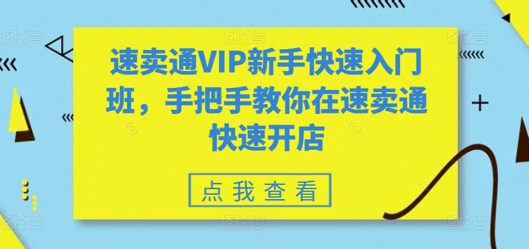 速卖通VIP新手快速入门班，手把手教你在速卖通快速开店-Ai创业网