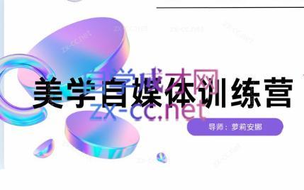 安娜·美学自媒体IP系统课-Ai创业网