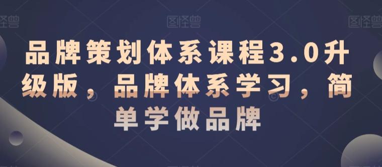 品牌策划体系课程3.0升级版，品牌体系学习，简单学做品牌-Ai创业网