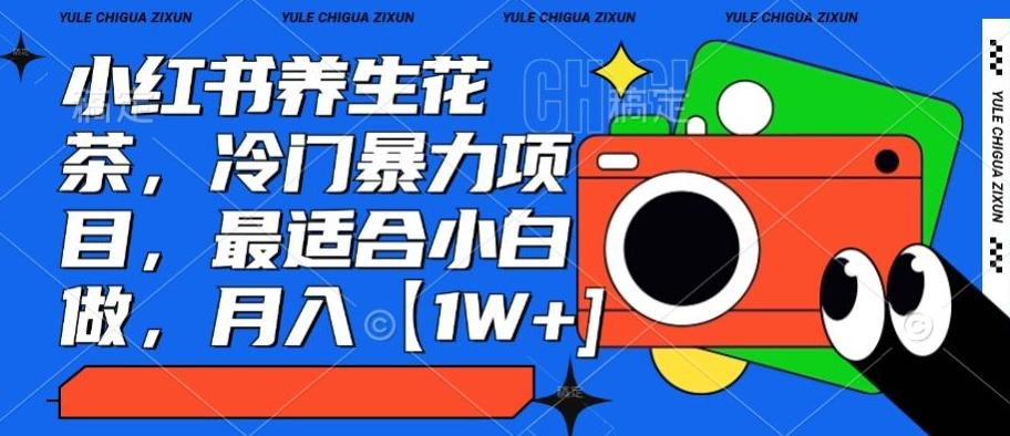 小红书养生花茶，冷门暴力项目，最适合小白做，月入【1W+】-Ai创业网