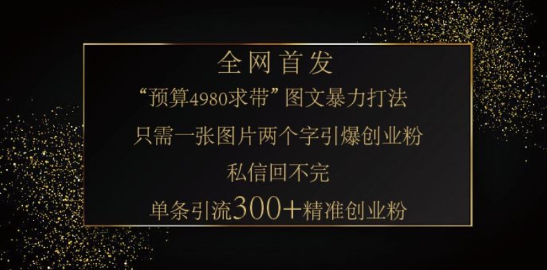 小红书神奇图片引流法，只需一张图，就能单条笔记凭借此方法，轻松引流 300 + 精准创业粉-Ai创业网