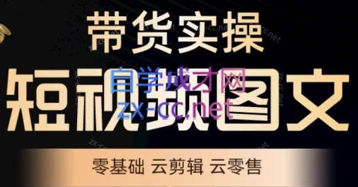 鑫哥·2024零基础短视频带货实操营-Ai创业网