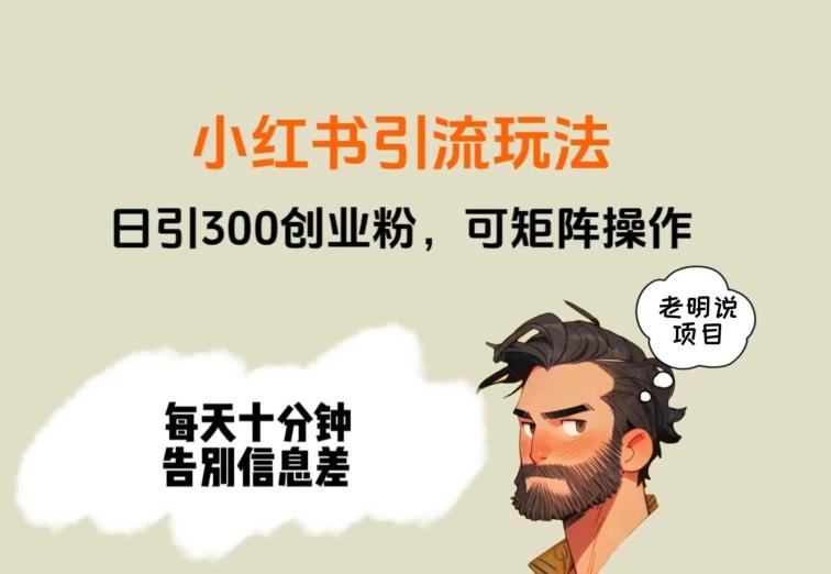 靠小红书视频日印300粉，两分钟一个视频轻松矩阵-Ai创业网