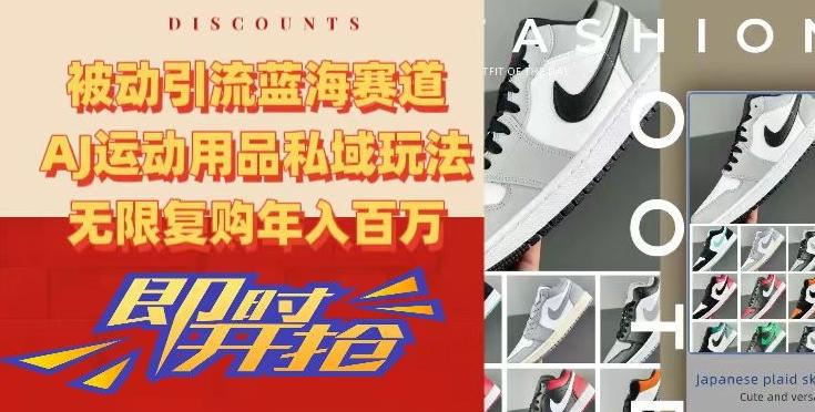 被动引流蓝海赛道，AJ运动用品私域玩法，无限复购年入百万【揭秘】-Ai创业网