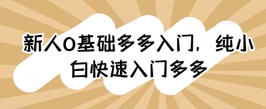 新人0基础多多入门，​纯小白快速入门多多-Ai创业网