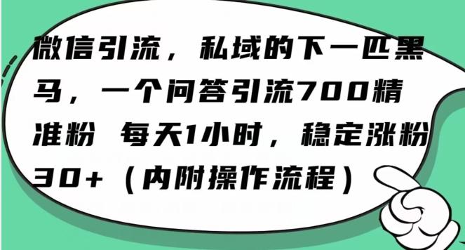 怎么搞精准创业粉？微信新赛道，每天一小时，利用Ai一个问答日引100精准粉-Ai创业网