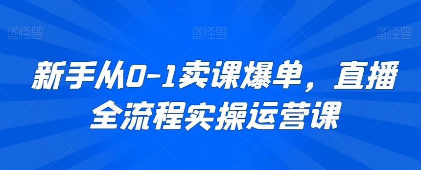 新手从0-1卖课爆单，直播全流程实操运营课-Ai创业网