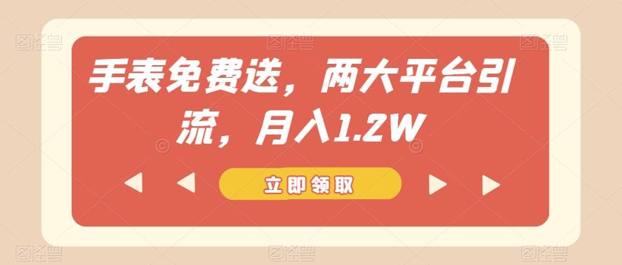 手表免费送，两大平台引流，月入1.2W【揭秘】-Ai创业网