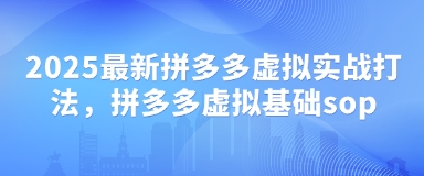 2025最新拼多多虚拟实战打法，拼多多虚拟基础sop-Ai创业网