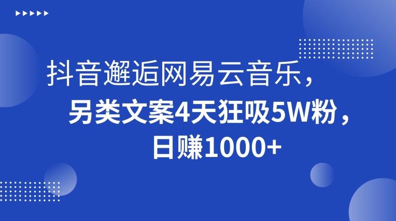 抖音邂逅网易云音乐，另类文案4天狂吸5W粉，日赚1000+【揭秘】-Ai创业网