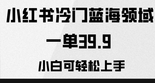 小红书冷门蓝海领域，一单39.9，小白可轻松上手-Ai创业网