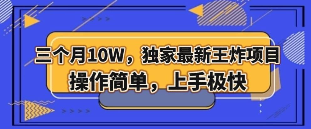 三个月10W，独家最新王炸项目！操作简单，上手极快【揭秘】-Ai创业网