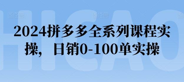 2024拼多多全系列课程实操，日销0-100单实操【必看】-Ai创业网
