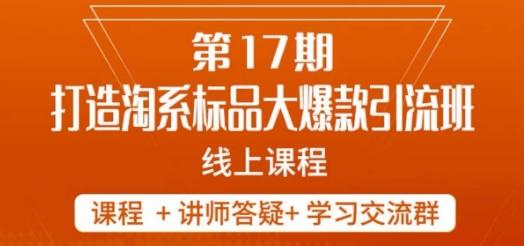 南掌柜-第17期打造淘系标品大爆款，5天线上课-Ai创业网