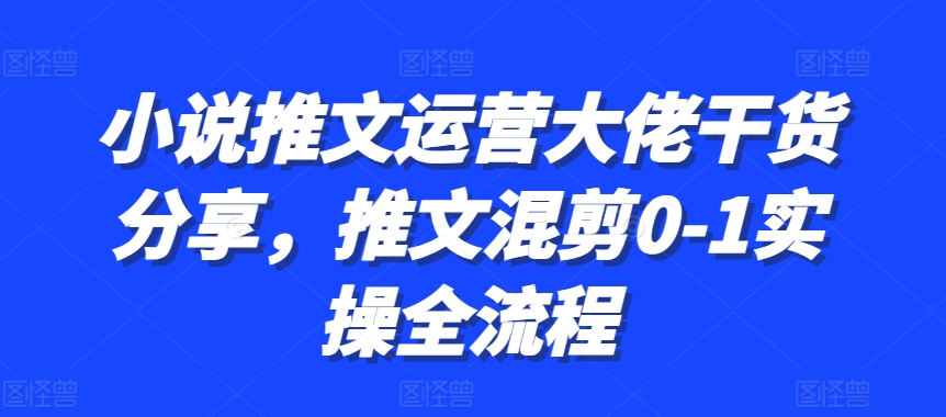 小说推文运营大佬干货分享，推文混剪0-1实操全流程-Ai创业网