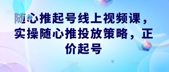 随心推起号线上视频课，实操随心推投放策略，正价起号-Ai创业网