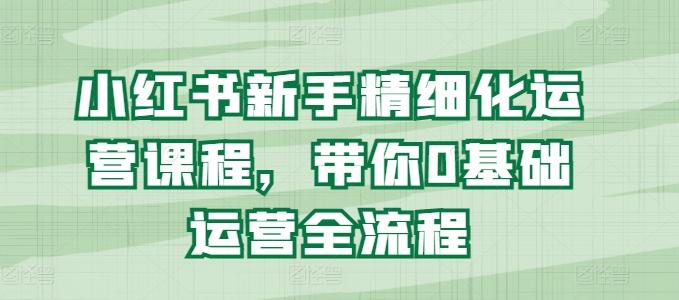 小红书新手精细化运营课程，带你0基础运营全流程-Ai创业网