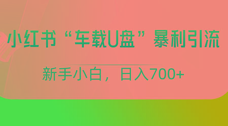 小红书“车载U盘”项目，暴利引流，新手小白轻松日入700+-Ai创业网