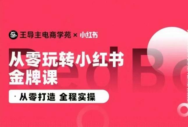 王导主·小红书电商运营实操课，​从零打造  全程实操-Ai创业网