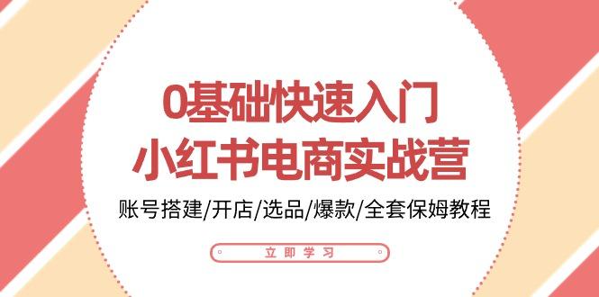0基础快速入门-小红书电商实战营：账号搭建/开店/选品/爆款/全套保姆教程-Ai创业网