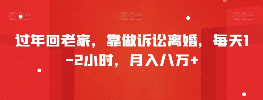过年回老家，靠做诉讼离婚，每天1-2小时，月入八万+-Ai创业网