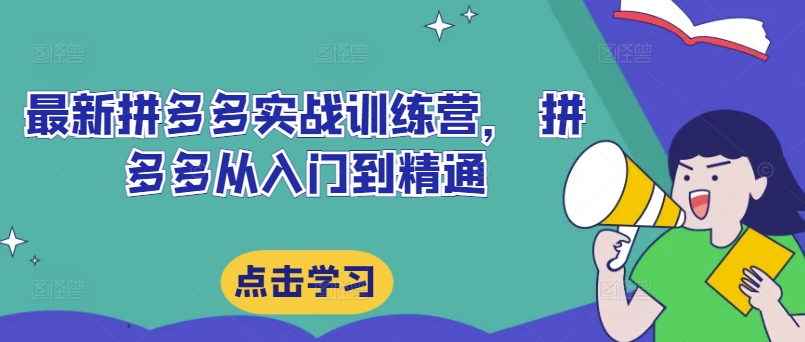 最新拼多多实战训练营， 拼多多从入门到精通-Ai创业网