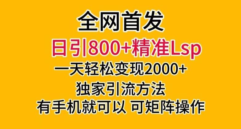 全网首发！日引800+精准老色批，一天变现2000+，独家引流方法，可矩阵操作【揭秘】-Ai创业网