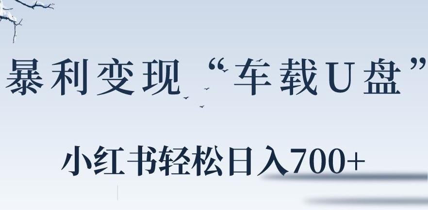 小红书“车载U盘”暴利引流，日入700+-Ai创业网