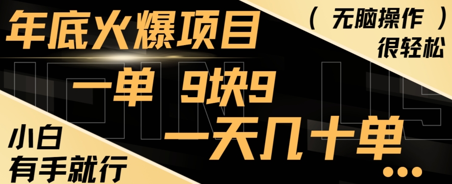 年底火爆项目，一单9.9，一天几十单，只需一部手机，傻瓜式操作，小白有手就行-Ai创业网