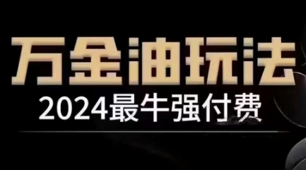 2024最牛强付费，万金油强付费玩法，干货满满，全程实操起飞(更新25年04月)-Ai创业网