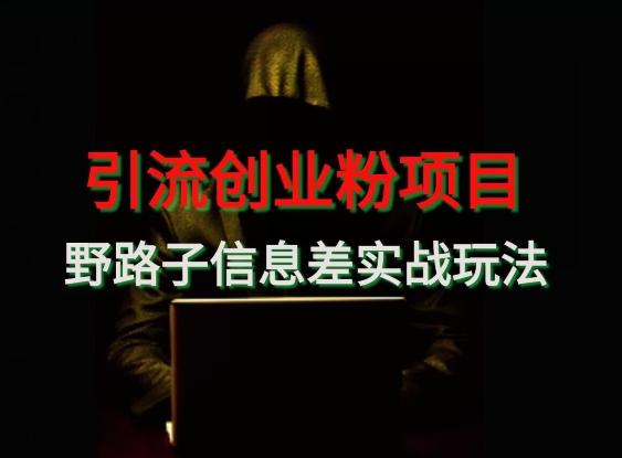 【引流创业粉】野路子信息差玩法实战教学-Ai创业网