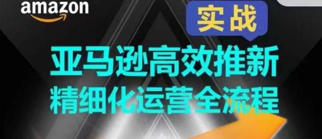 亚马逊高效推新精细化运营全流程，全方位、快速拉升产品排名和销量!-Ai创业网