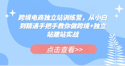 跨境电商独立站训练营，从小白到精通手把手教你做跨境+独立站建站实战-Ai创业网