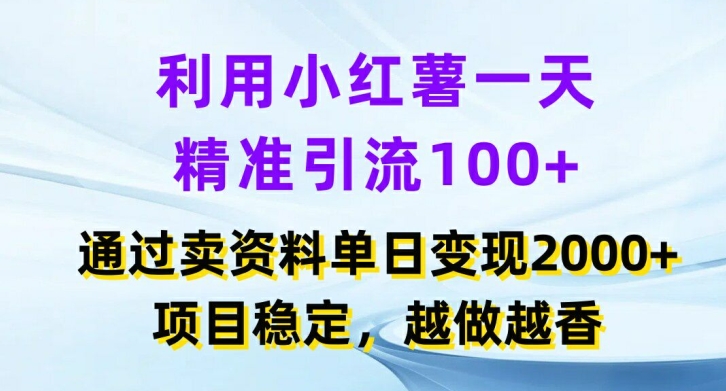 利用小红书一天精准引流100+，通过卖项目单日变现2k+，项目稳定，越做越香【揭秘】-Ai创业网