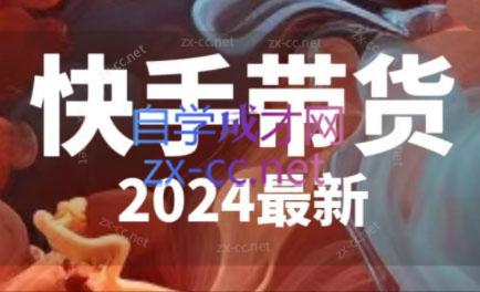 快手带货(2024最新)-Ai创业网