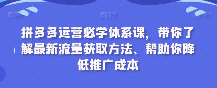 拼多多运营必学体系课，带你了解最新流量获取方法、帮助你降低推广成本-Ai创业网