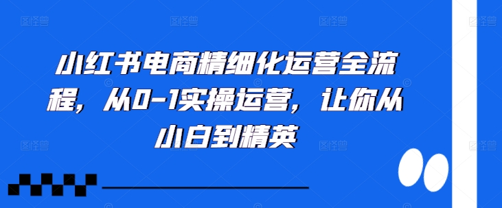 小红书电商精细化运营全流程，从0-1实操运营，让你从小白到精英-Ai创业网